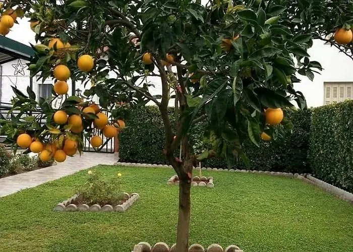 Διαμέρισμα Sofia *