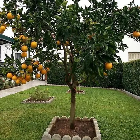 Apartamento Sofia *